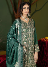 Afbeelding in Gallery-weergave laden, embroidered Kurta set
