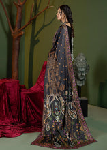 Afbeelding in Gallery-weergave laden, embroidered Kurta set
